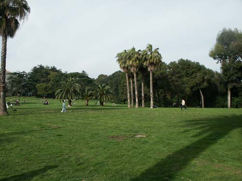 Zona Parco antistante la Reggia