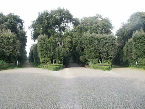 Viali del Bosco